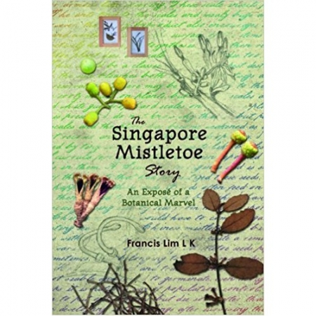 THE SINGAPORE MISTLETOE STORY: AN EXPOSE OF A BOTANICAL MARVEL